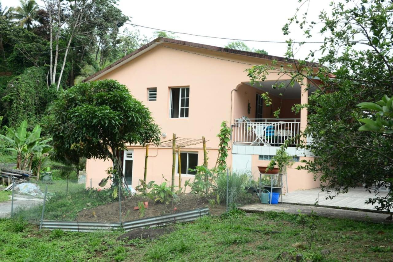 Maison Lavanne Saint-Joseph Exteriör bild